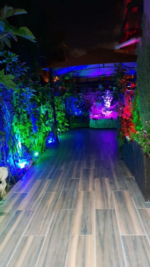 Amazing Haifa Exterior foto